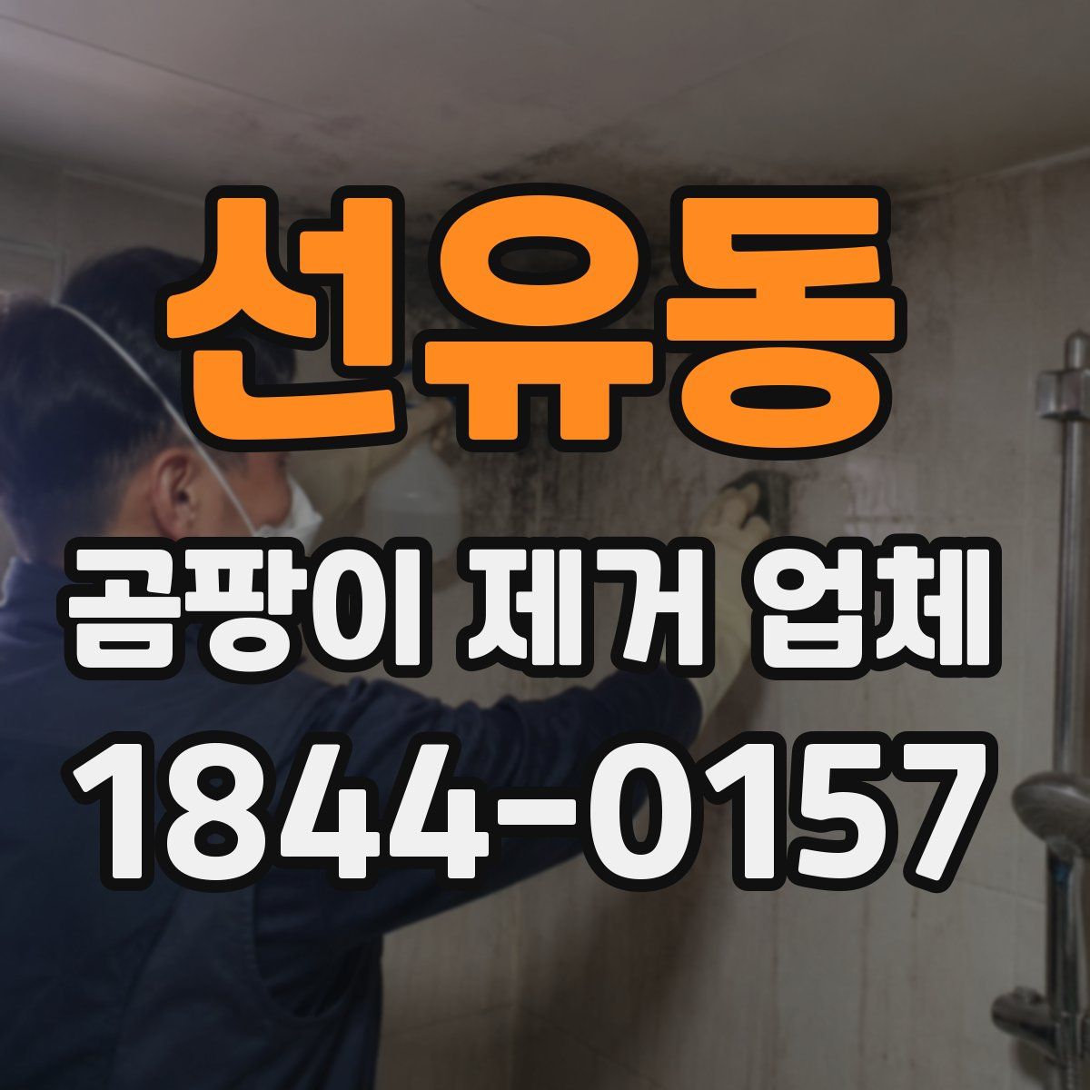 선유동 곰팡이 제거 업체