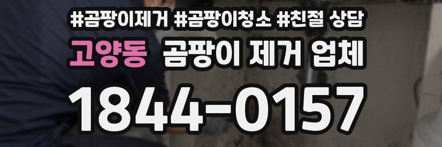 고양동 곰팡이 제거 업체