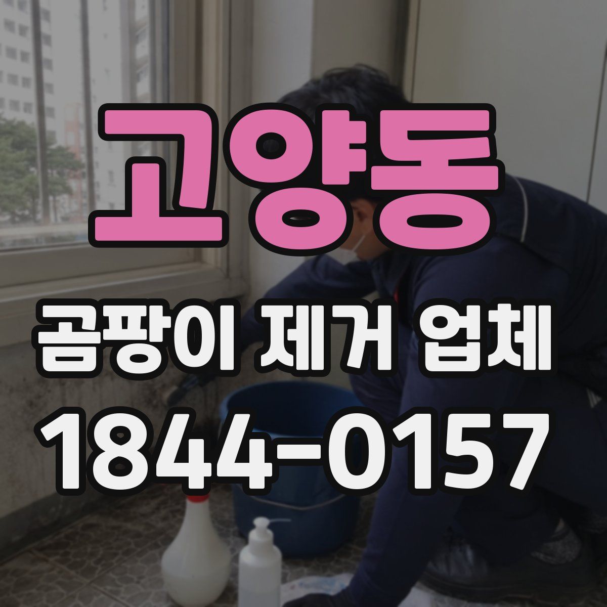 고양동 곰팡이 제거 업체