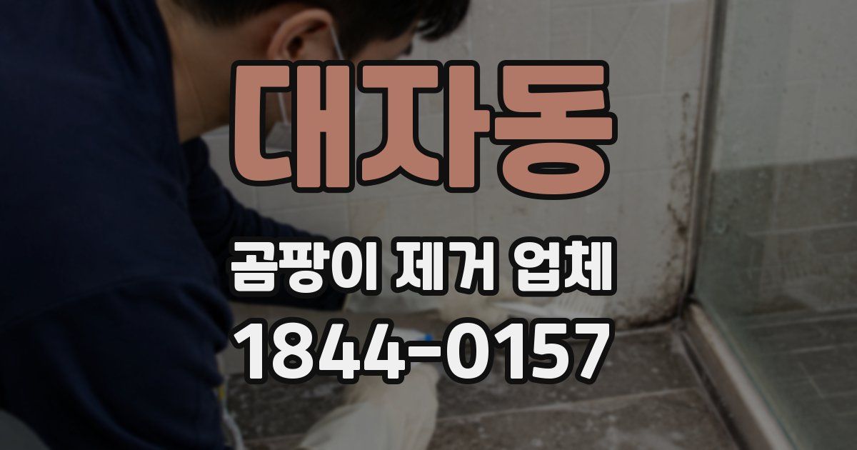 대자동 곰팡이 제거 업체