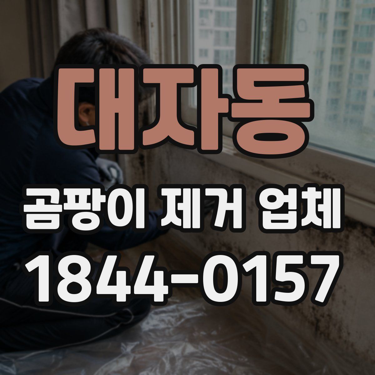 대자동 곰팡이 제거 업체