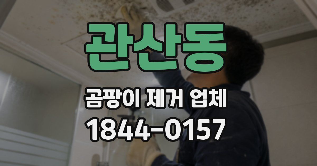 관산동 곰팡이 제거 업체