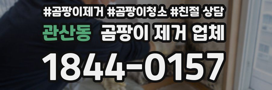 관산동 곰팡이 제거 업체