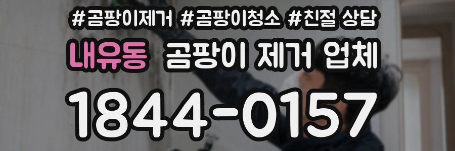 내유동 곰팡이 제거 업체