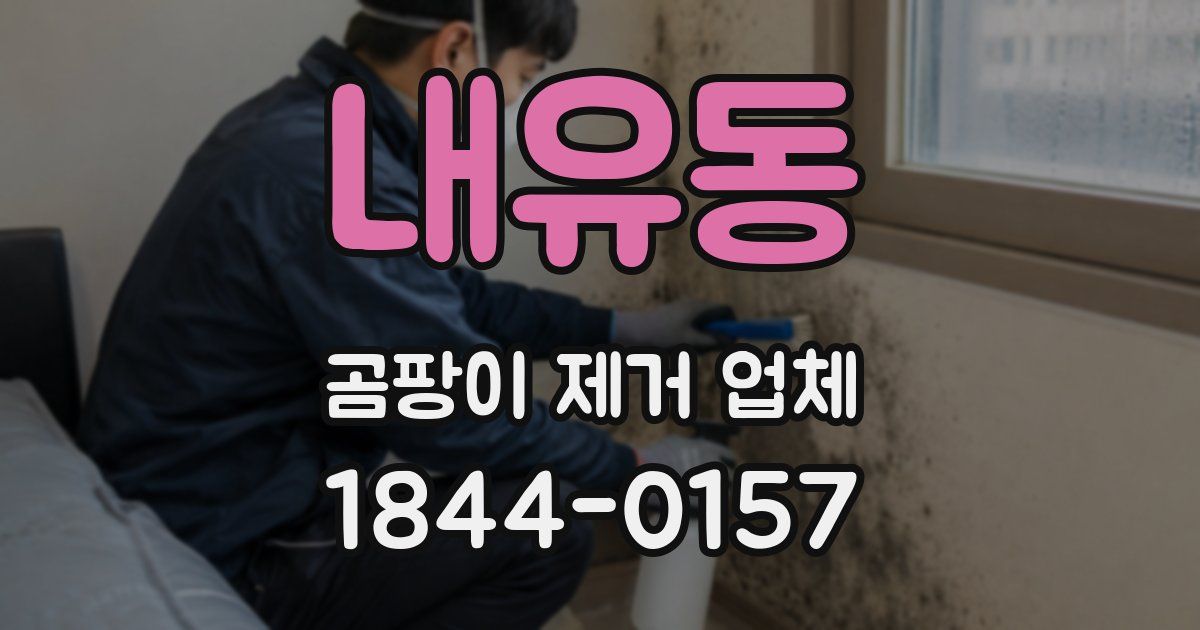 내유동 곰팡이 제거 업체