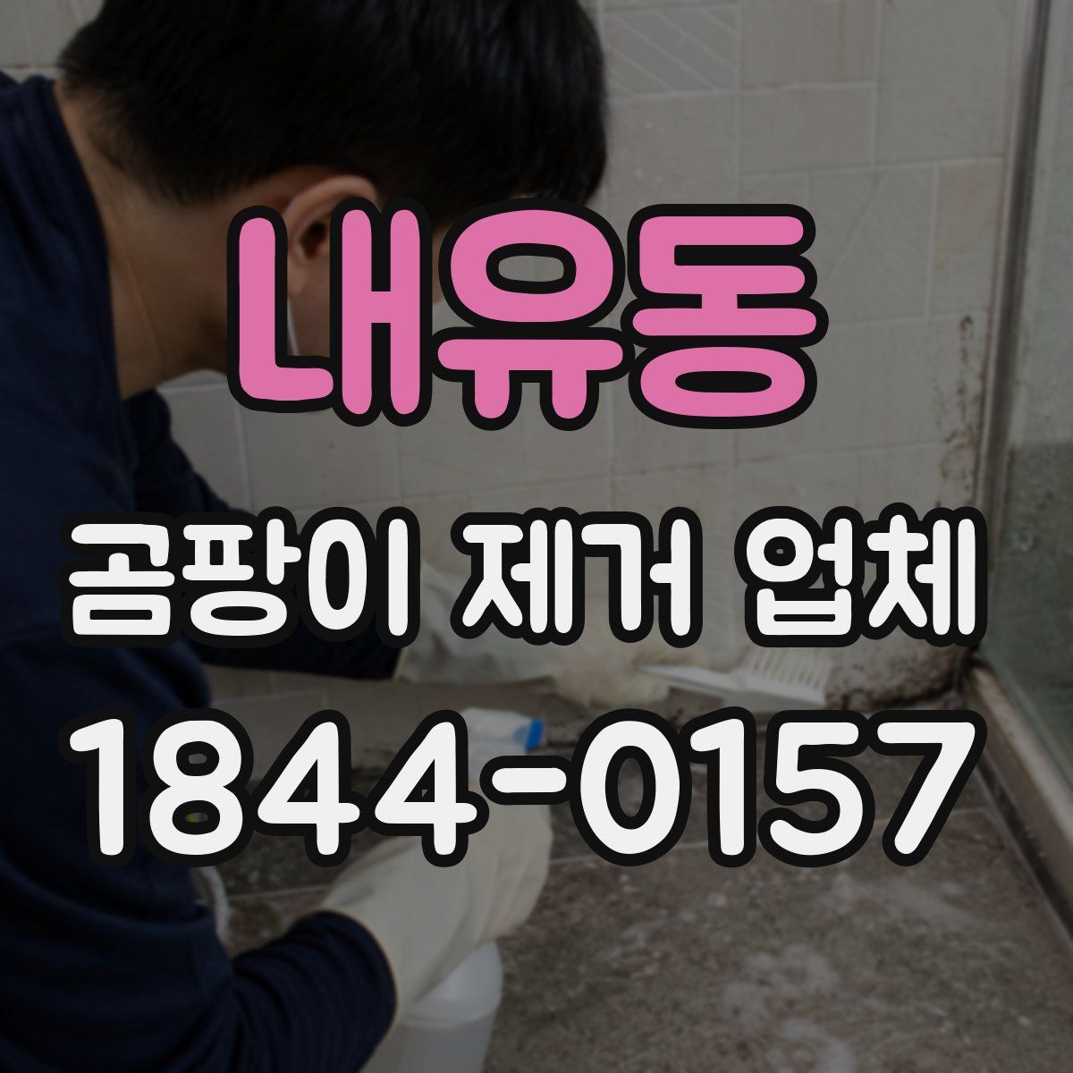 내유동 곰팡이 제거 업체