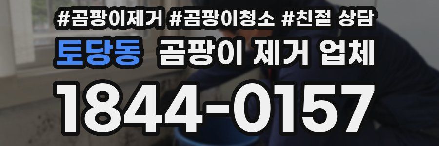 토당동 곰팡이 제거 업체
