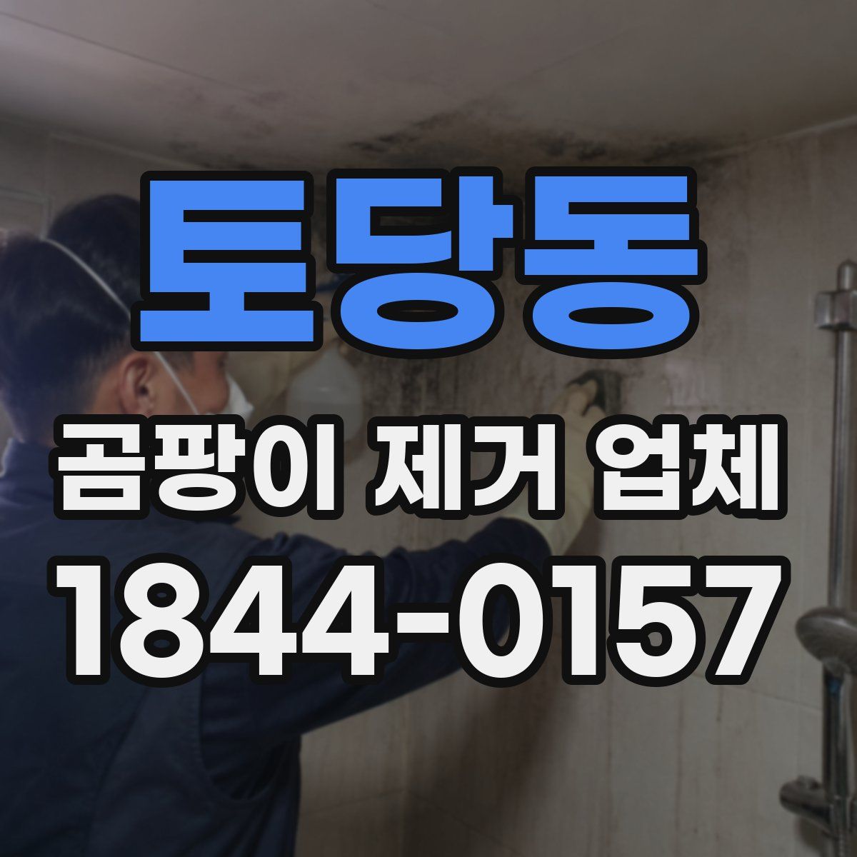 토당동 곰팡이 제거 업체