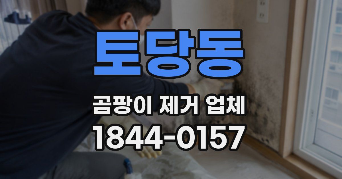 토당동 곰팡이 제거 업체