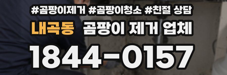 내곡동 곰팡이 제거 업체