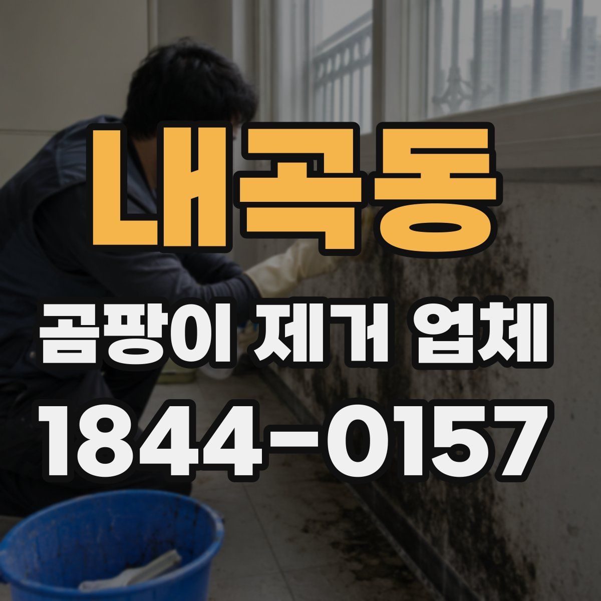 내곡동 곰팡이 제거 업체