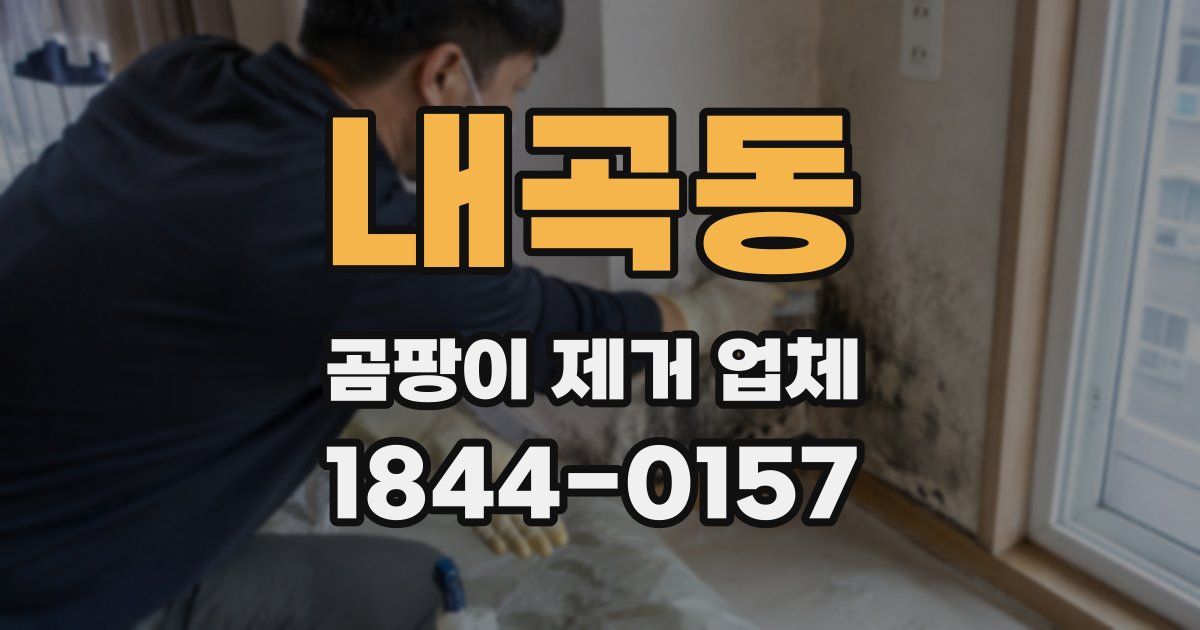 내곡동 곰팡이 제거 업체