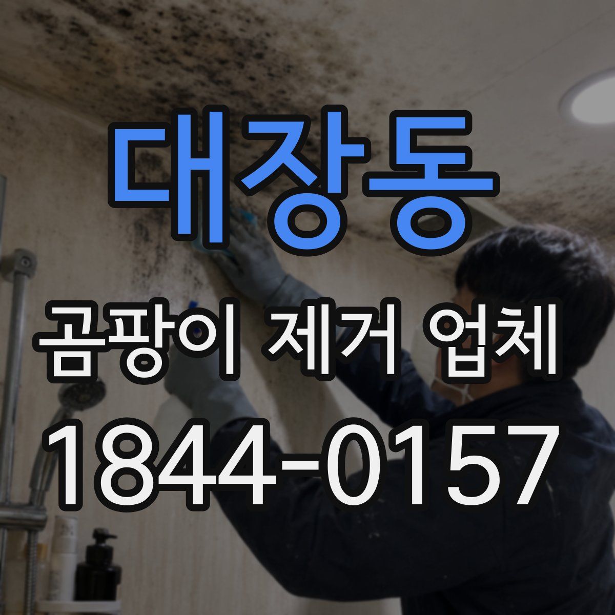 대장동 곰팡이 제거 업체