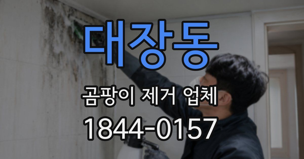 대장동 곰팡이 제거 업체