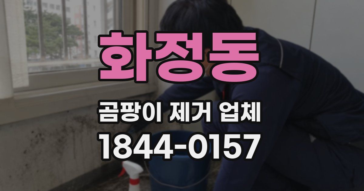화정동 곰팡이 제거 업체