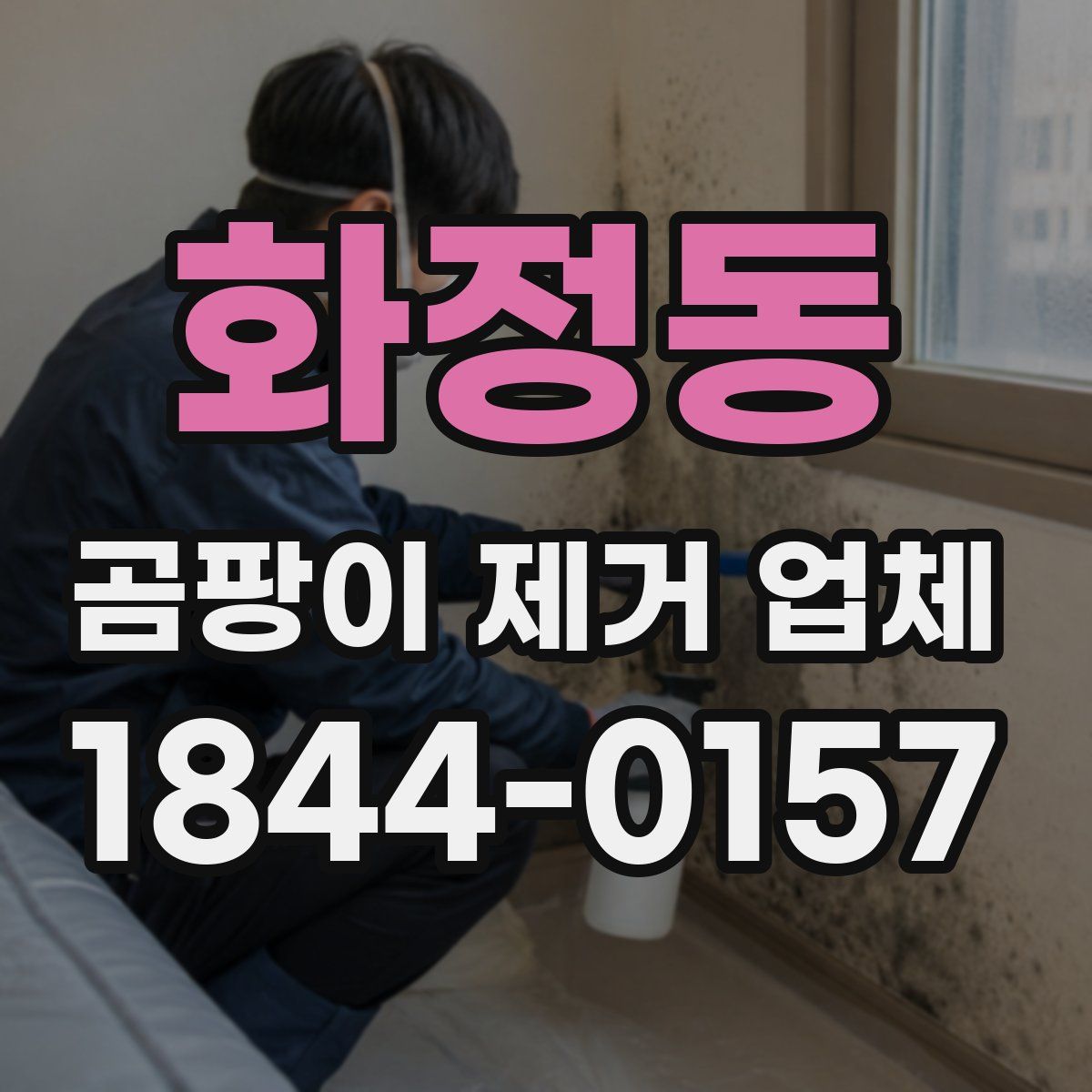 화정동 곰팡이 제거 업체