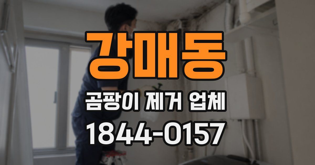 강매동 곰팡이 제거 업체
