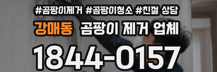 강매동 곰팡이 제거 업체