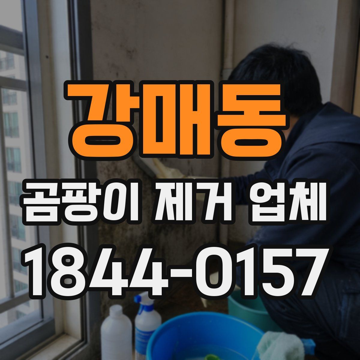 강매동 곰팡이 제거 업체