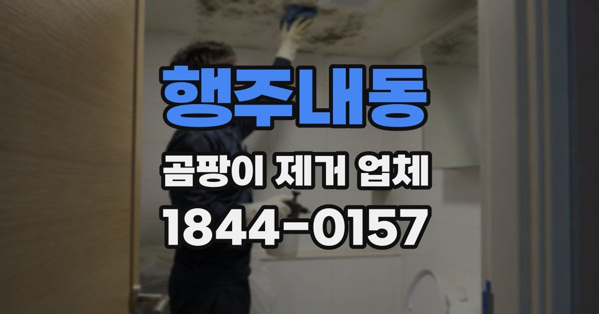 행주내동 곰팡이 제거 업체