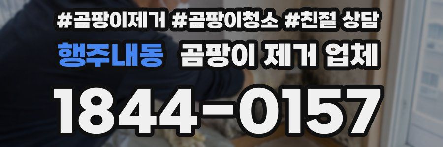 행주내동 곰팡이 제거 업체