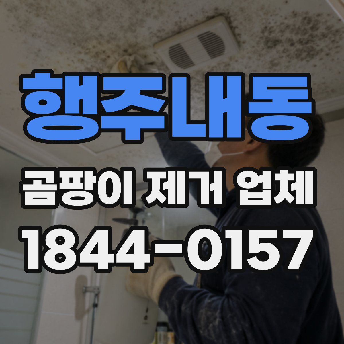 행주내동 곰팡이 제거 업체