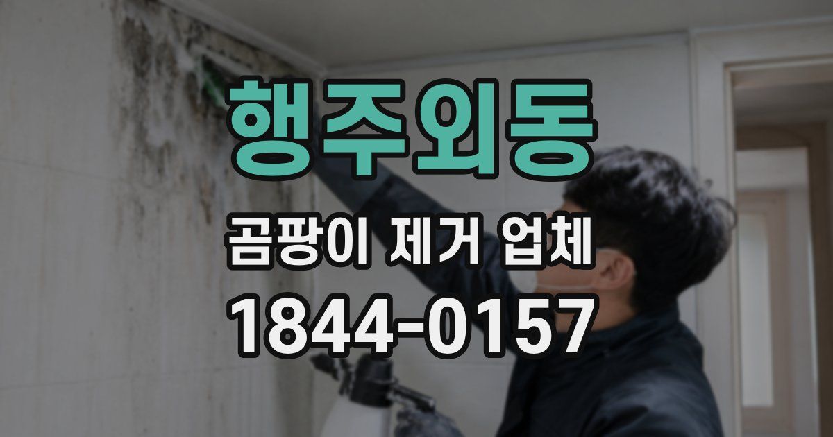 행주외동 곰팡이 제거 업체