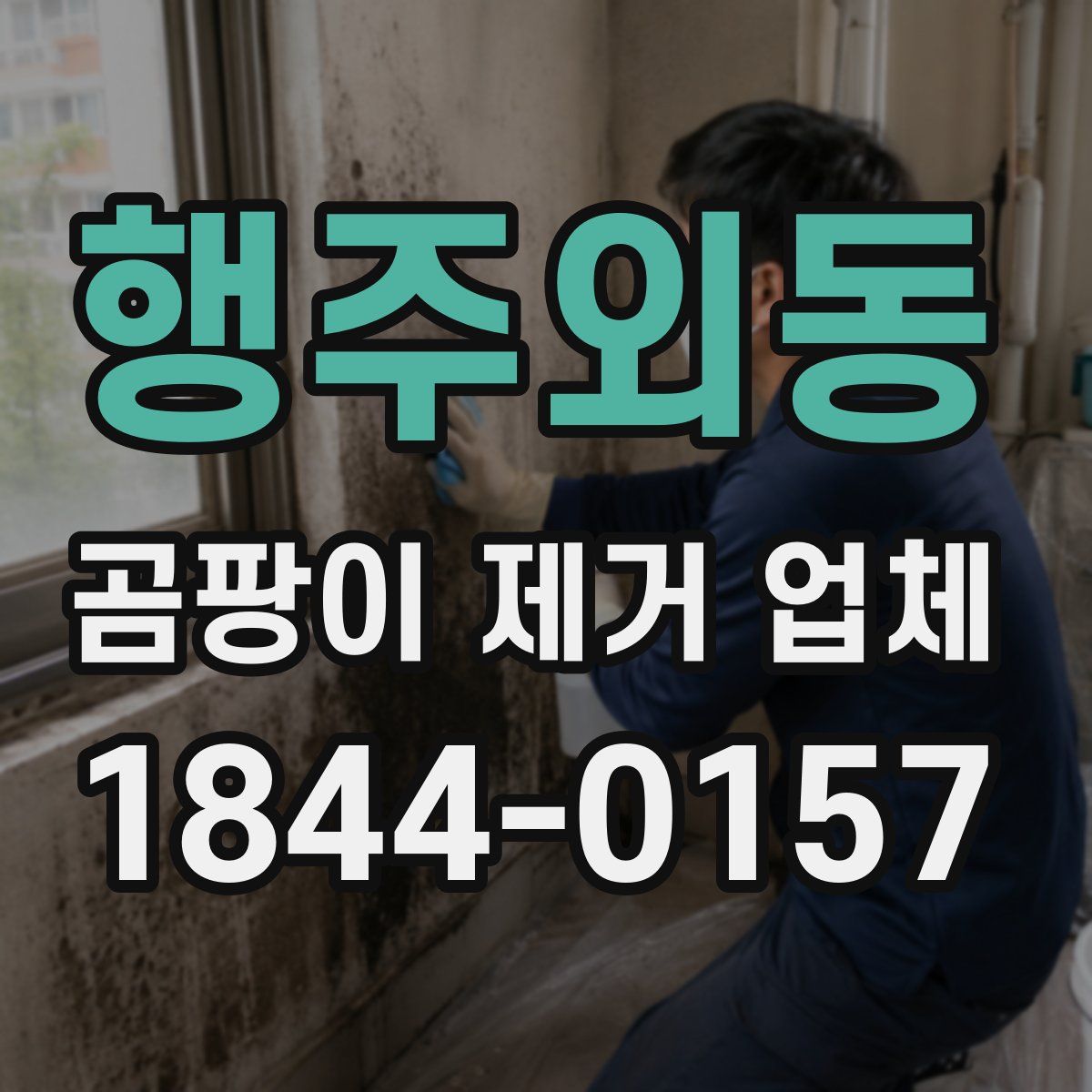 행주외동 곰팡이 제거 업체