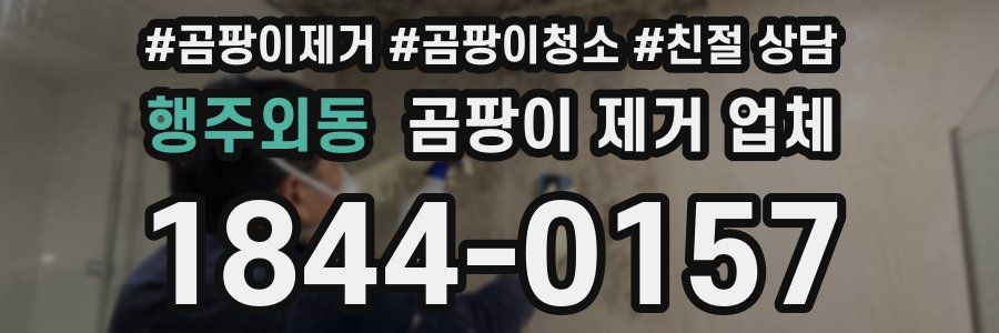 행주외동 곰팡이 제거 업체