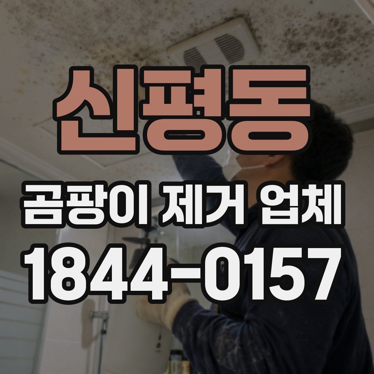 신평동 곰팡이 제거 업체 선택 후 진행되는 절차 정리