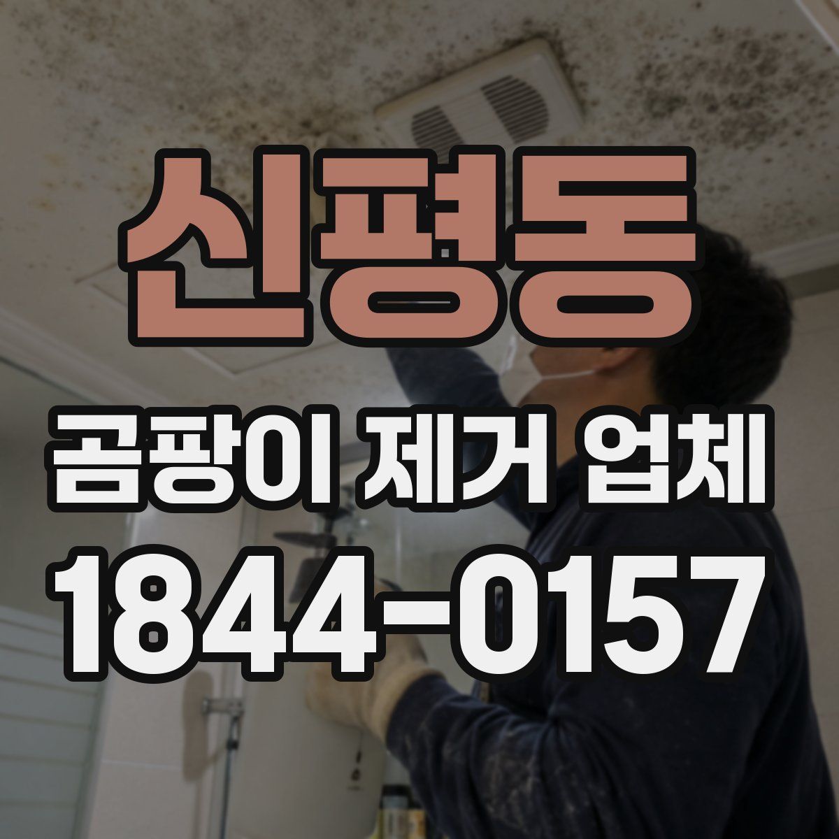 신평동 곰팡이 제거 업체