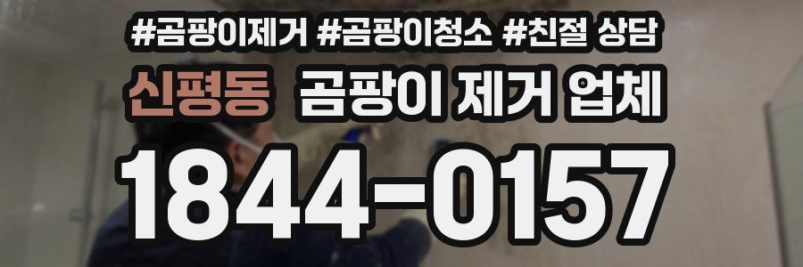 신평동 곰팡이 제거 업체