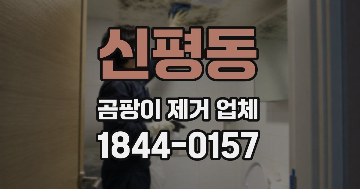 신평동 곰팡이 제거 업체