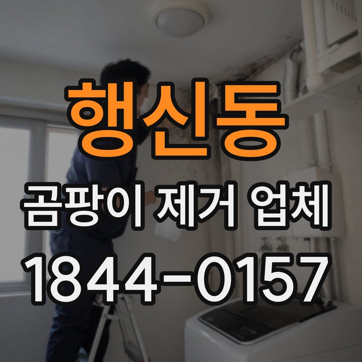 행신동 곰팡이 제거 업체
