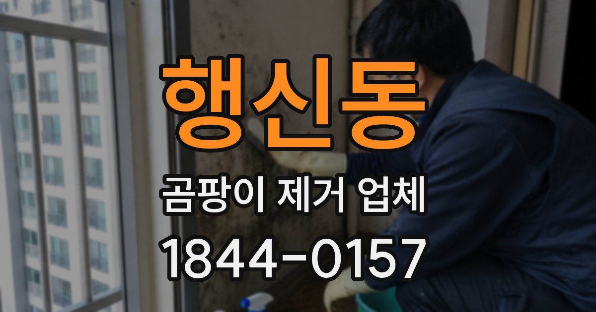 행신동 곰팡이 제거 업체