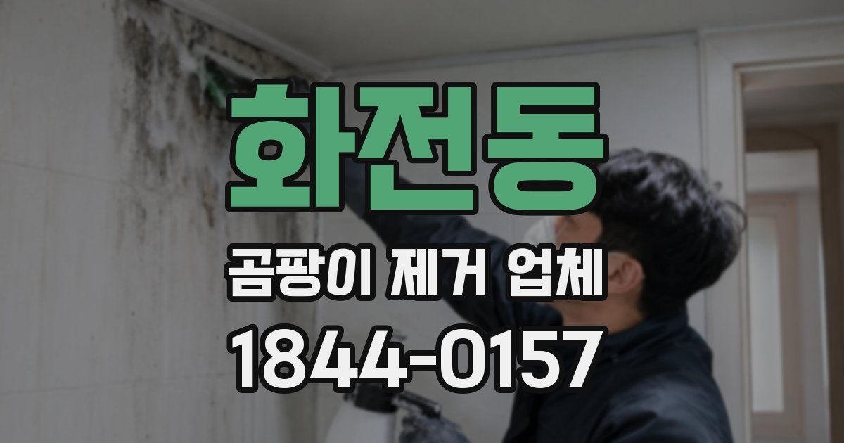 화전동 곰팡이 제거 업체