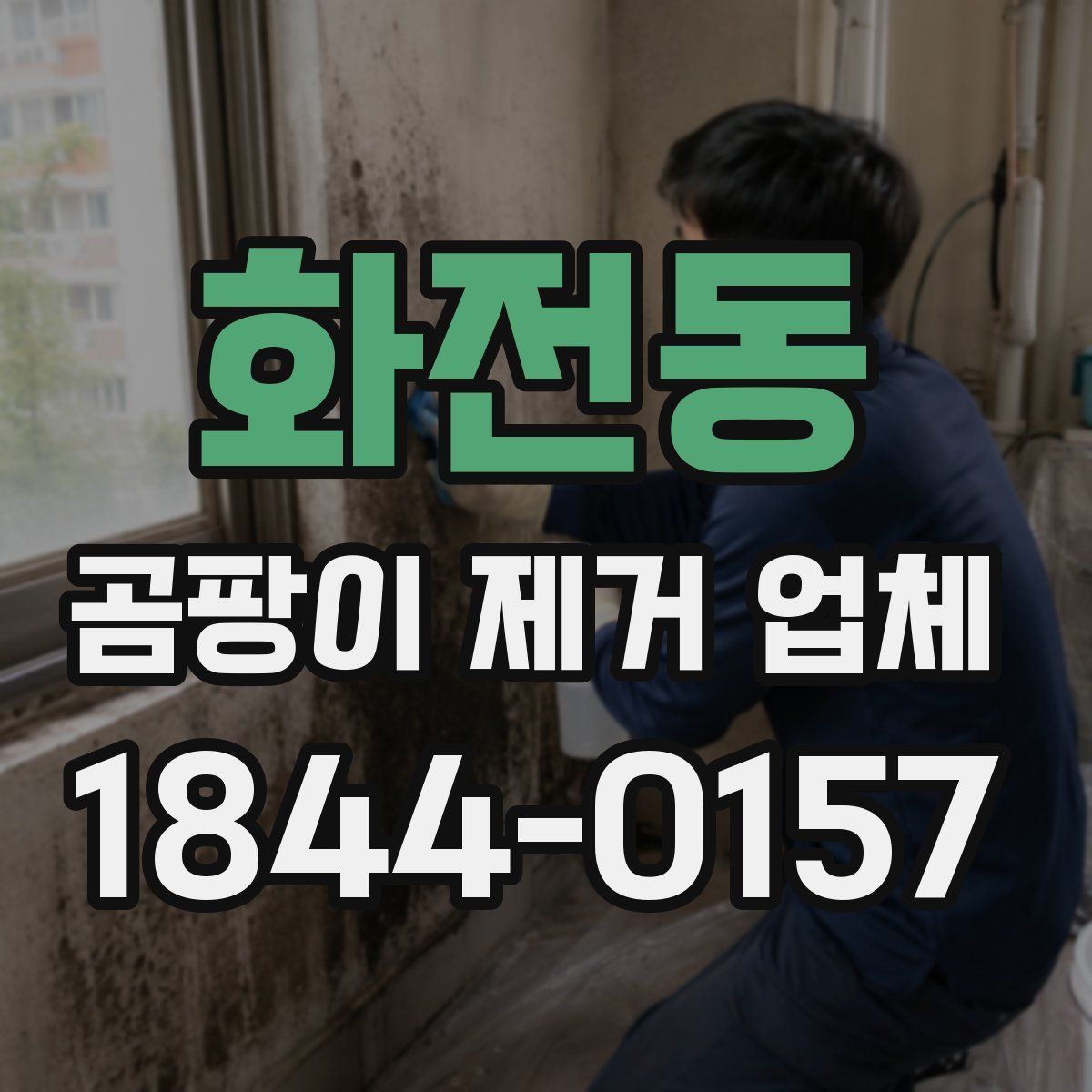 화전동 곰팡이 제거 업체