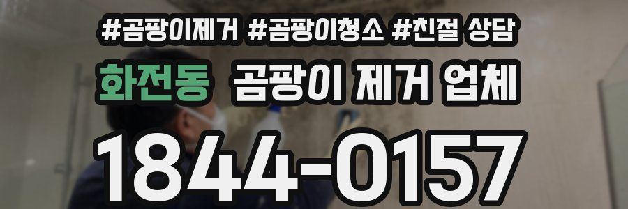 화전동 곰팡이 제거 업체