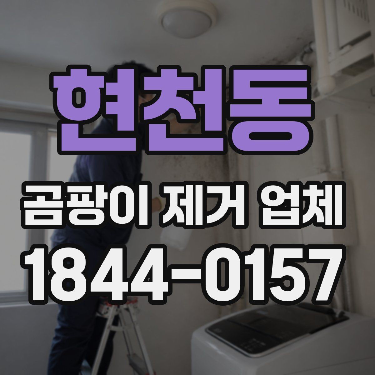 현천동 곰팡이 제거 업체 비교할 때 후기와 견적 보는 순서