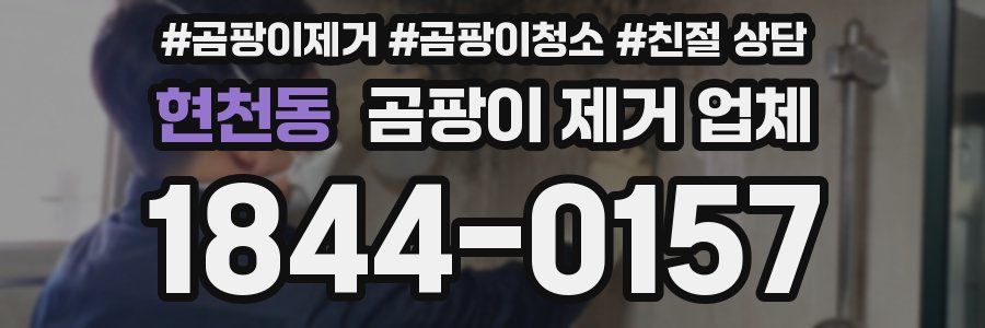 현천동 곰팡이 제거 업체