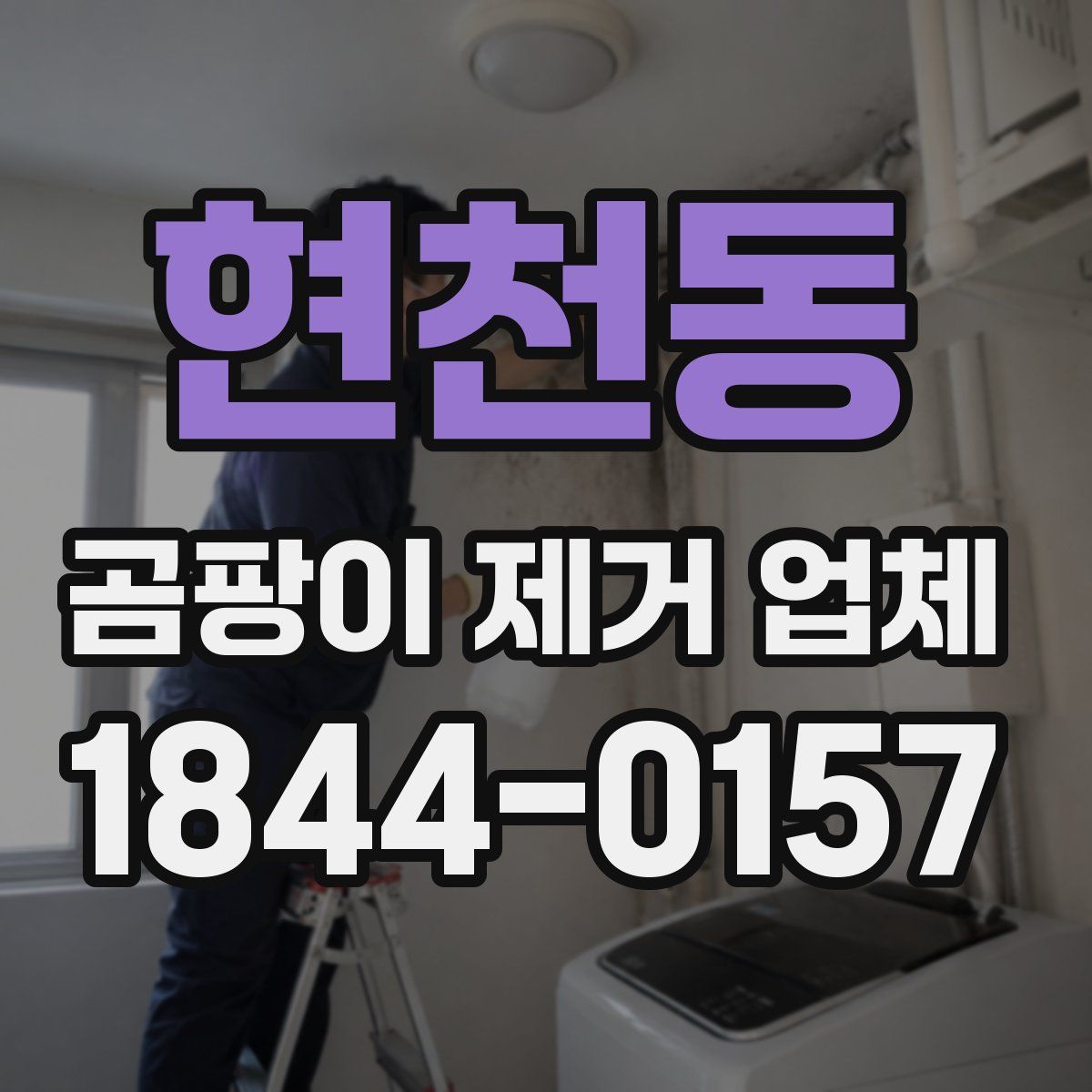 현천동 곰팡이 제거 업체
