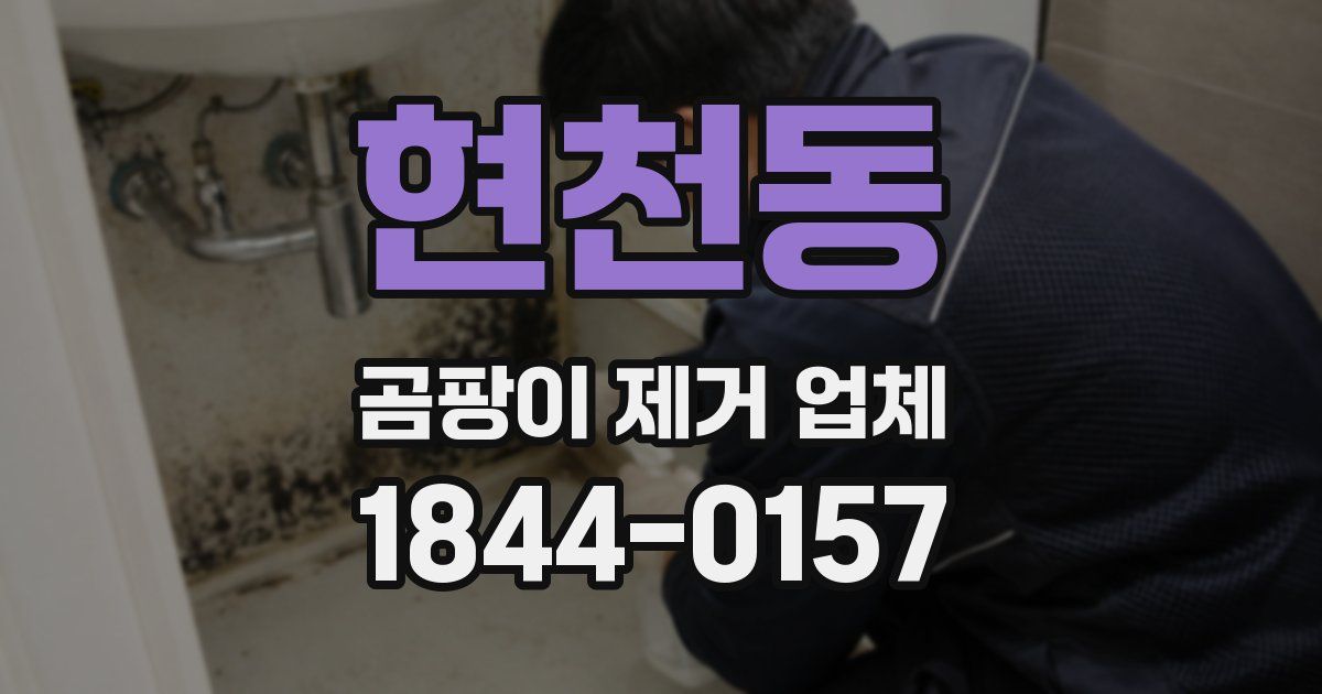 현천동 곰팡이 제거 업체