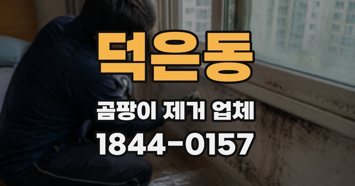 덕은동 곰팡이 제거 업체
