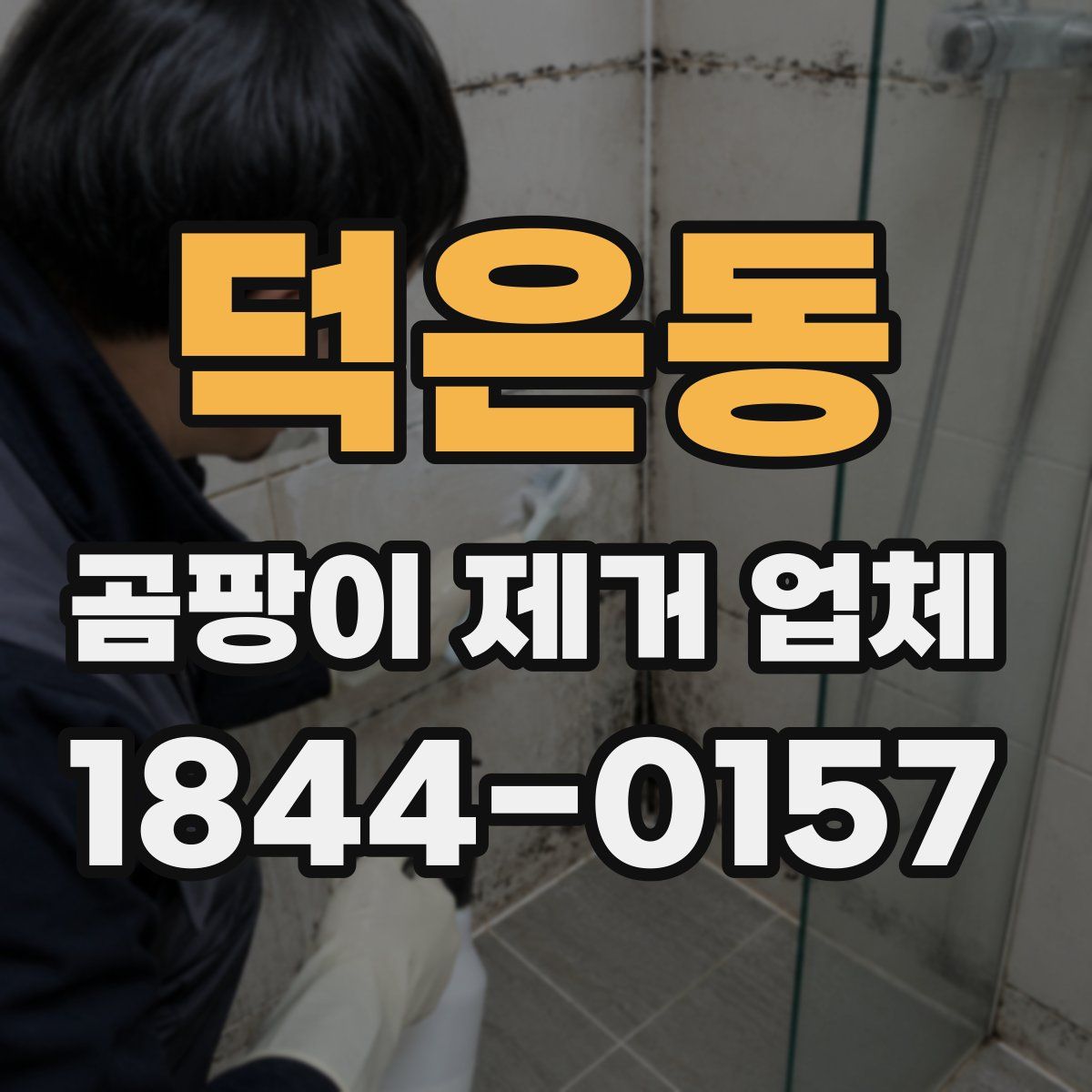덕은동 곰팡이 제거 업체