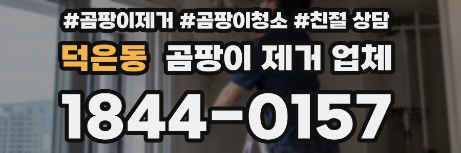 덕은동 곰팡이 제거 업체
