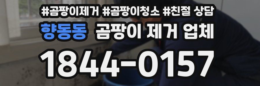 향동동 곰팡이 제거 업체