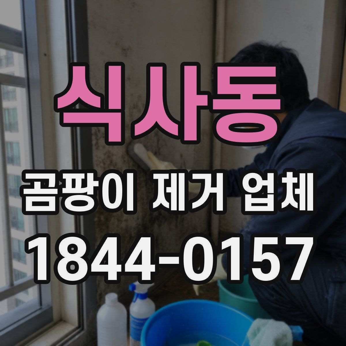 식사동 곰팡이 제거 업체