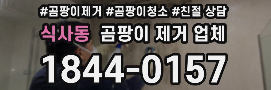 식사동 곰팡이 제거 업체