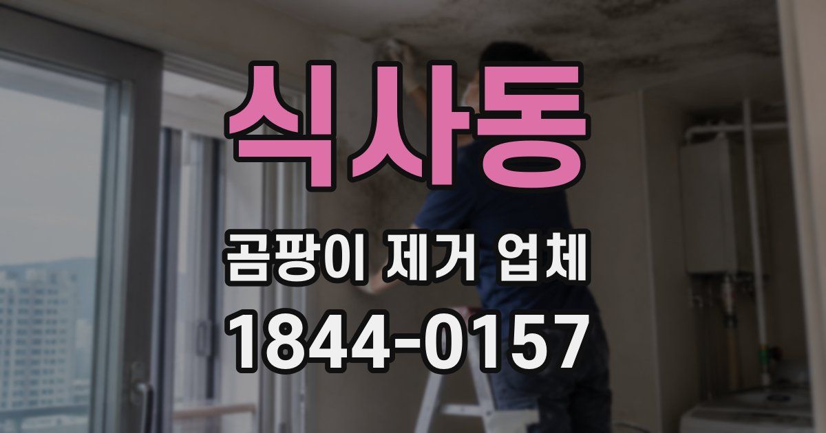 식사동 곰팡이 제거 업체