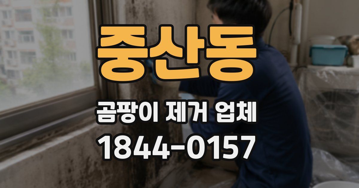 중산동 곰팡이 제거 업체